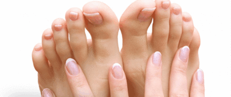 Ella Bache - Gold Coast Attractions