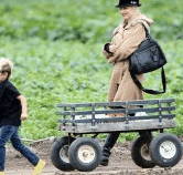 Perth City Farm Organic Markets - Gold Coast Attractions