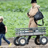 Perth City Farm Organic Markets - Gold Coast Attractions 0