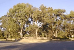 The York Residency Museum - Gold Coast Attractions 2