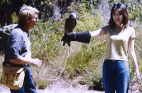 Eagles Heritage Raptor Wildlife Centre - Gold Coast Attractions 2