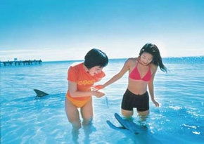 South Lake WA Gold Coast Attractions