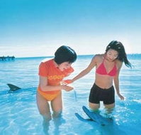 Kookaburra Air - Gold Coast Attractions