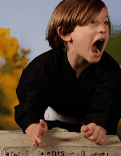 Turner Galleries - Gold Coast Attractions 3