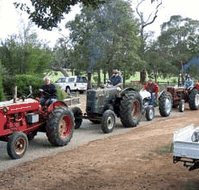 Hugh Manning Tractor  Machinery Museum - Gold Coast Attractions