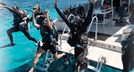 Snorkel Safari Brisbane - Gold Coast Attractions