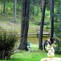Gain Life Healing Health Retreat - Gold Coast Attractions 2