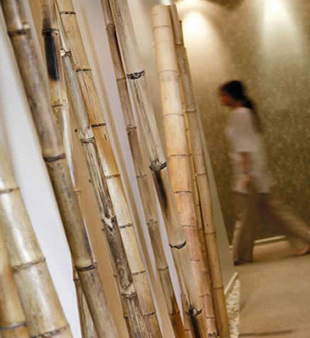 Spa Nirvana - Gold Coast Attractions 0