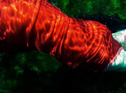 Dark Horse Experiment - Gold Coast Attractions 0