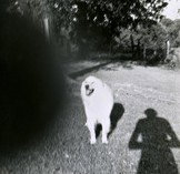 Fehily Contemporary - Gold Coast Attractions 2