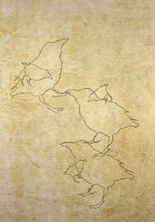 Gilligan Grant Gallery - Gold Coast Attractions 1