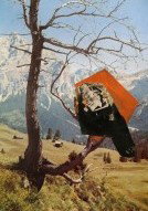 Gilligan Grant Gallery - Gold Coast Attractions 3