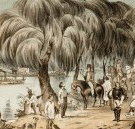 Joshua McClelland Print Room - Gold Coast Attractions