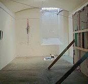 Bus Projects - Gold Coast Attractions