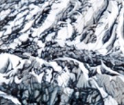 Catherine Asquith Gallery - Gold Coast Attractions 0