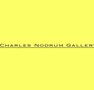 Charles Nodrum Gallery - Gold Coast Attractions