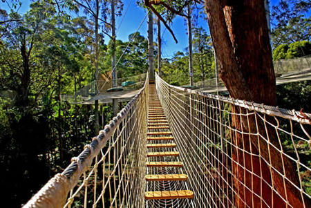 North Tamborine QLD Gold Coast Attractions