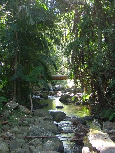Thunderbird Park - Gold Coast Attractions 2