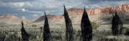 Australian Galleries - Gold Coast Attractions 3