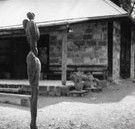 The Baldessin Press - Gold Coast Attractions