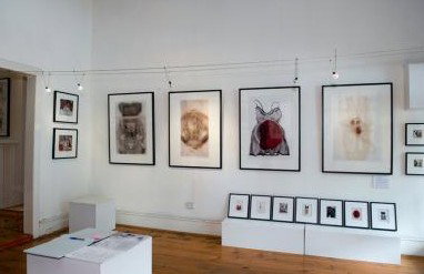 Bird's Gallery - Gold Coast Attractions 1