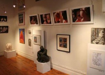 Bird's Gallery - Gold Coast Attractions 2