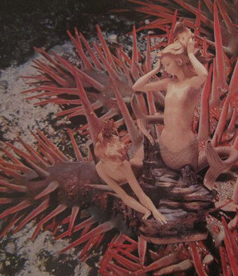 Bower Gallery - Gold Coast Attractions 1