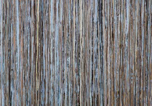 Bower Gallery - Gold Coast Attractions 2