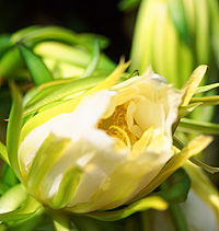 Tropical Fruit World - Gold Coast Attractions 2