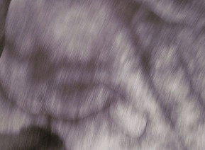 69 Smith Street - Gold Coast Attractions 1