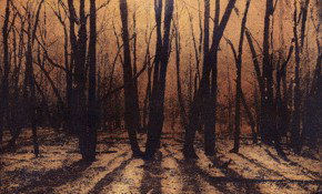 69 Smith Street - Gold Coast Attractions 2