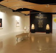 Counihan Gallery In Brunswick - Gold Coast Attractions