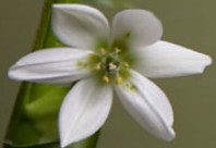 Soul Treat - Gold Coast Attractions 2