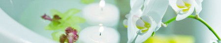 Energy Creations - Gold Coast Attractions 1