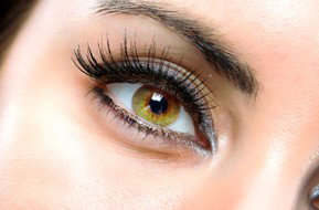 Beauty On Ryrie - Gold Coast Attractions 1