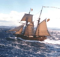 Enterprize - Melbourne's Tall Ship - Gold Coast Attractions