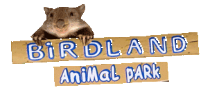 Birdland Animal Park - Gold Coast Attractions 0