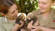 Mogo Zoo - Gold Coast Attractions 3