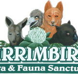 Wirrimbirra Sanctuary - Gold Coast Attractions