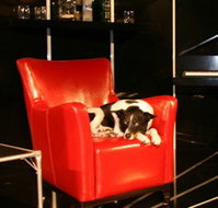 Old Fitzroy Theatre - Gold Coast Attractions