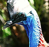 Alma Park Zoo - Gold Coast Attractions