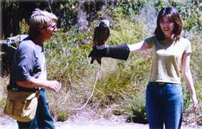 Eagles Heritage - Gold Coast Attractions 2