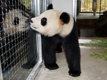 Adelaide Zoo - Gold Coast Attractions 3