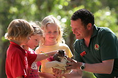 Cleland Wildlife Park - Gold Coast Attractions 0