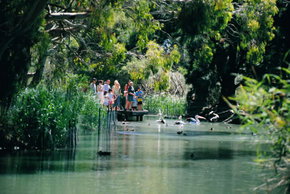 Cleland Wildlife Park - Gold Coast Attractions 1