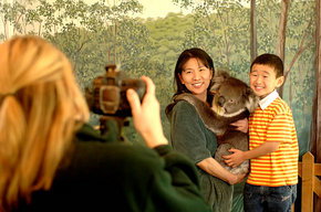 Cleland Wildlife Park - Gold Coast Attractions 2