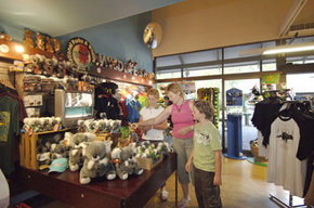 Cleland Wildlife Park - Gold Coast Attractions 3