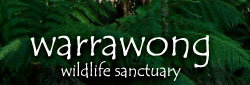 Warrawong Wildlife Park - Gold Coast Attractions 0