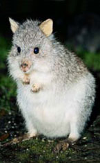 Warrawong Wildlife Park - Gold Coast Attractions 1