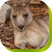 Calmsley Hill City Farm - Gold Coast Attractions 0